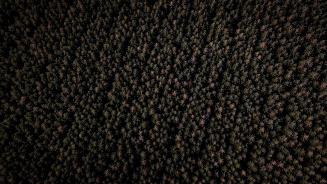 Вопрос-ответ: почему появляются черные точки и как с ними бороться